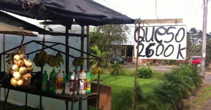 コスタリカの酪農家